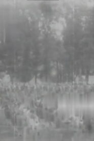 Filipino Scouts, Musical Drill, St. Louis Exposition