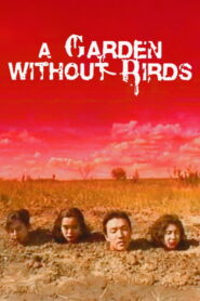 A Garden Without Birds