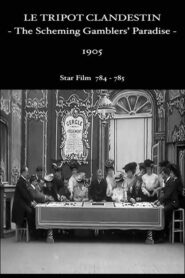 The Scheming Gambler’s Paradise