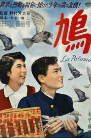 The Pigeon