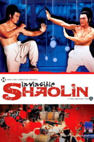Invincible Shaolin