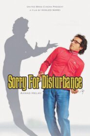 Sorry For Disturbance