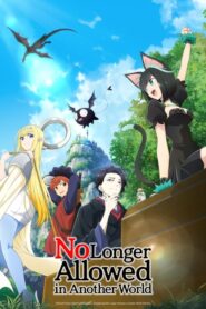No Longer Allowed in Another World
