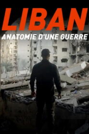 Liban : anatomie d’une guerre
