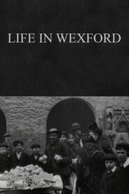 Life in Wexford