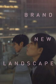 Brand New Landscape
