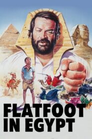 Flatfoot in Egypt