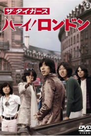 The Tigers – Hi! London