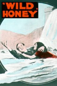 Wild Honey