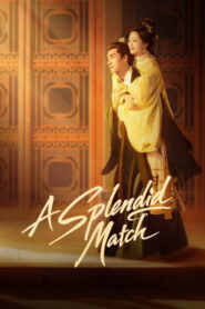 A Splendid Match