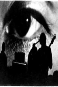 The Velvet Underground: Psychiatrist’s Convention, NYC, 1966