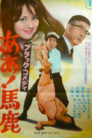 Black Comedy – Ah, Fool