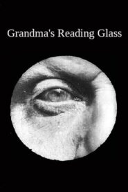 Grandma’s Reading Glass