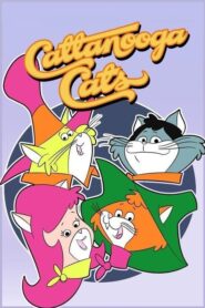 Cattanooga Cats